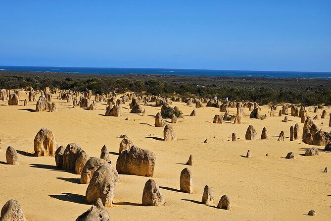 2 day Pink Lake and Kalbarri Tour - Kalbarri Palm Resort: Your Included Overnight Base