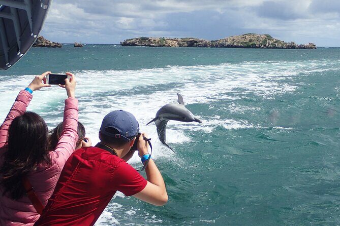 3 Island Wildlife Snorkel - The rest of the island hopping: more chances to spot sea lions and dolphins