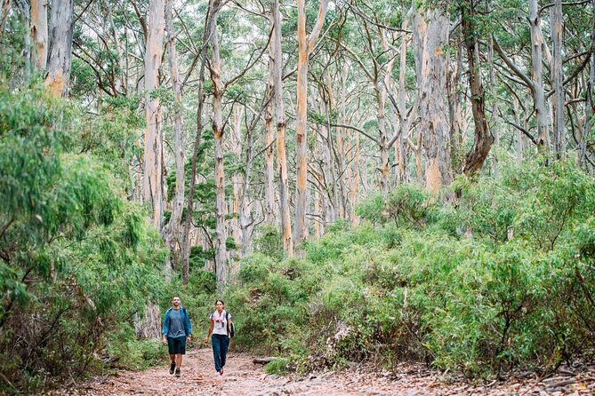 Busselton, Margaret River and Augusta 2-Day Tour from Perth - Key Points Worth Planning For