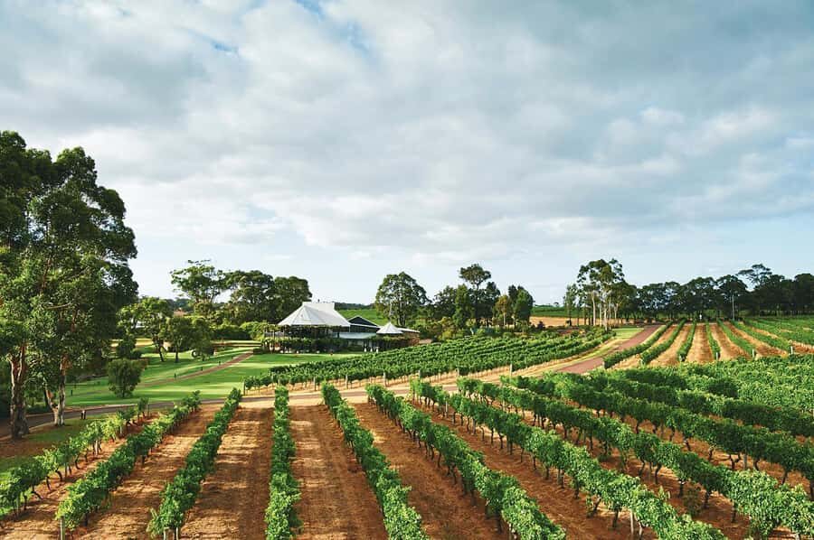 From Perth: Full-Day Margaret River Wine Tastings & Lunch - Busselton Jetty: iconic timber-piled views, but plan your time