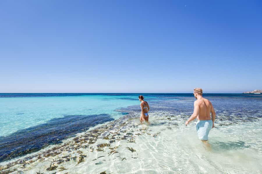 From Perth: Rottnest Island Ferry & Bus Day Tour - Coach tour circuit: quokkas, lighthouses, and the West End loop