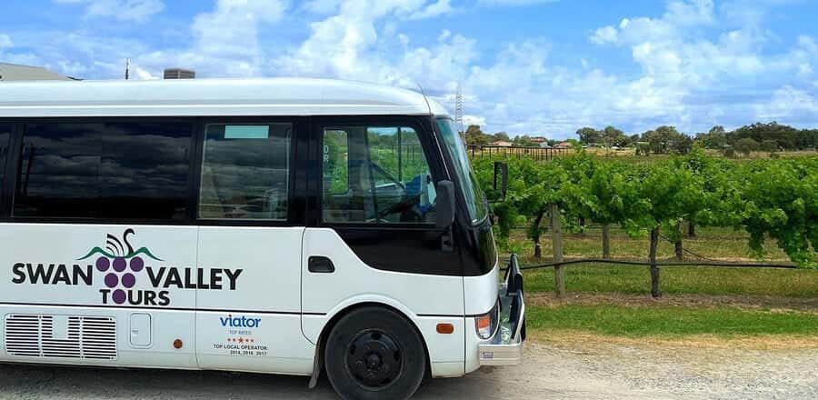 From Perth: Swan Valley Winery & Brewery Day Tour With Lunch - The 8-hour flow: where the time usually goes