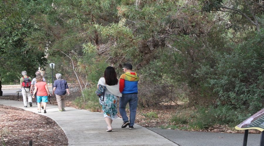 Half-Day Morning Perth & Fremantle City Explorer - Price and Value: Why $60 Can Make Sense for First-Time Planning