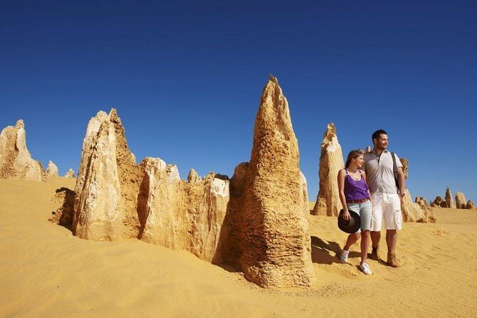 Half Day Pinnacles Sunset Tour - Price and Value: Is $182.90 a Good Deal for a Half Day?