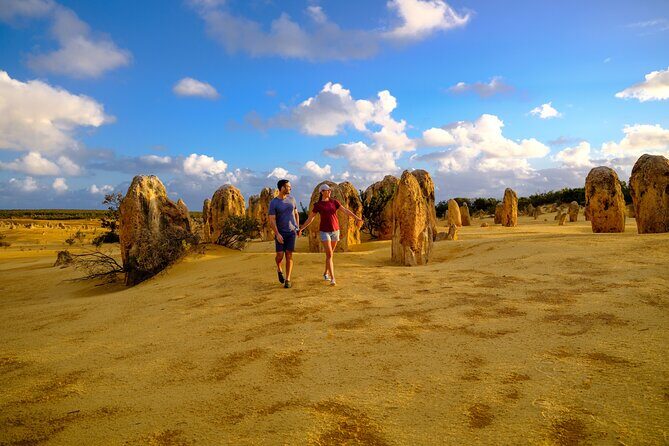 Half Day Pinnacles Sunset Tour - Who This Tour Fits (And Who Might Skip It)