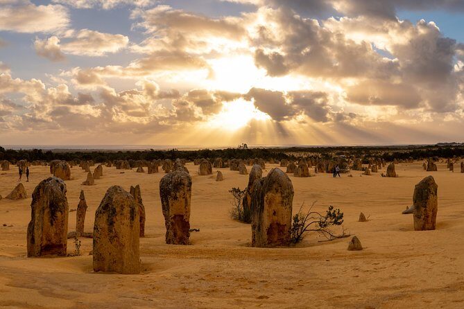 Half Day Pinnacles Sunset Tour - Stargazing After Dark: How to Make the Night Part Count