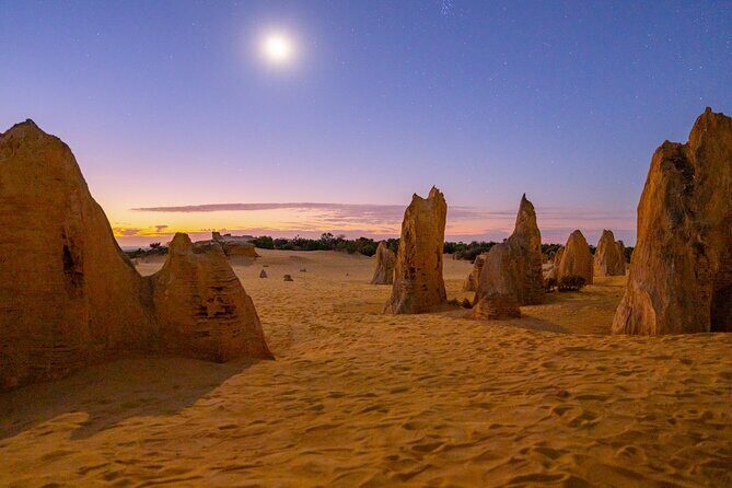 Luxury Pinnacles Tour- Private Chauffeur-Tailored Schedule - Lancelin Sand Dunes: a real change of scenery