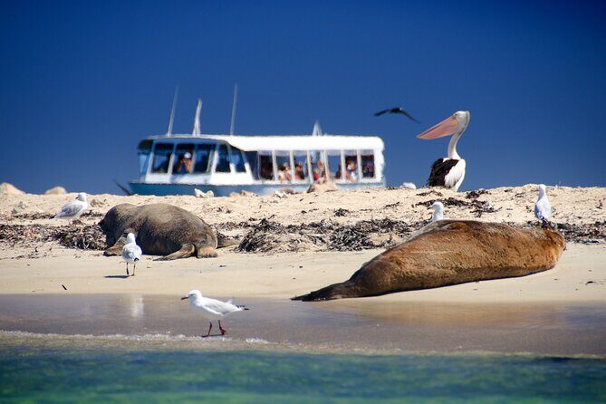 Margaret River Day Tour With Wildlife Cruise & Wine Tasting - Key points before you go