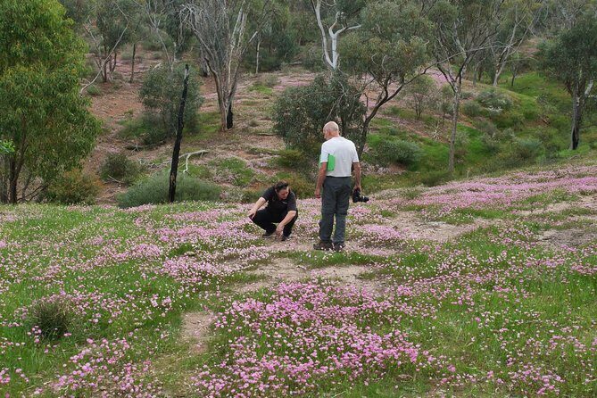 Orchids and Wildflowers Photographic Day tour from Perth - Value for $268.97: Is This a Good Deal?