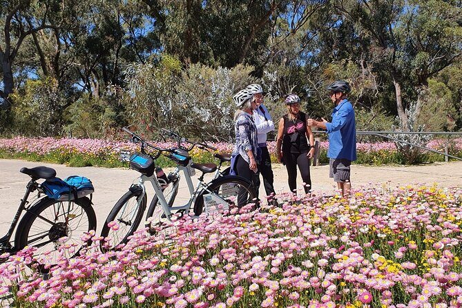 Pedals & Petals - Discovering Wildflowers Bike Tour Kings Park - Key takeaways before you pedal Kings Park
