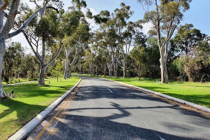 Pedals & Petals - Discovering Wildflowers Bike Tour Kings Park - From Wadjuk Car Park into bushland: timing and how it feels