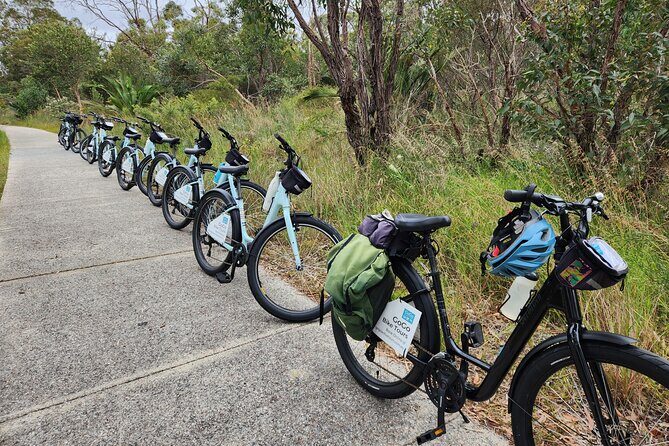 Pedals & Petals - Discovering Wildflowers Bike Tour Kings Park - Guides like Matt, Kevin, Kyle, and Bryan make the difference