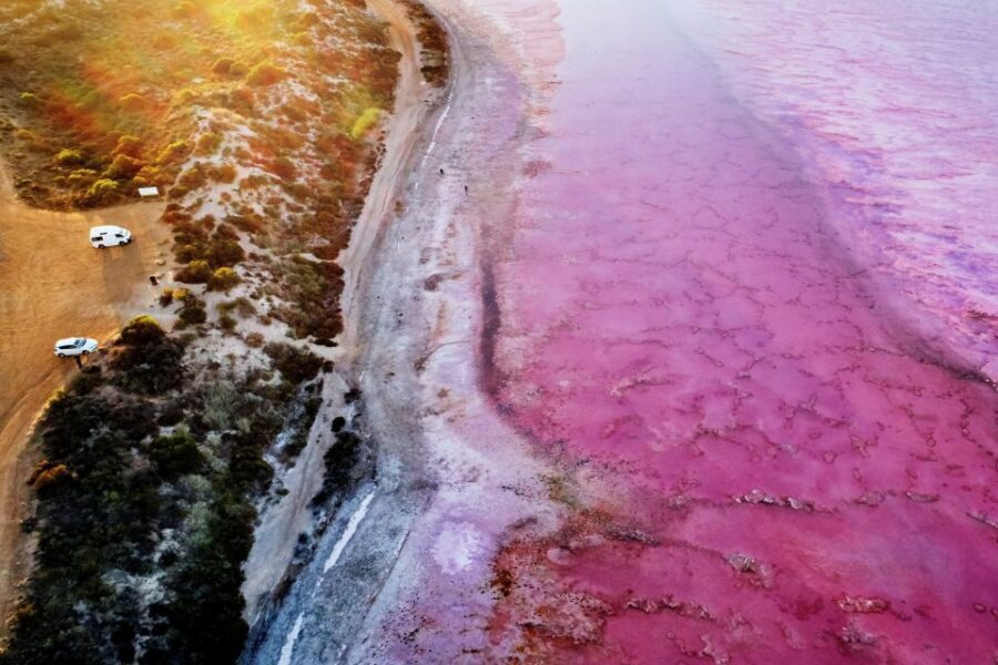 Perth: 4-Day Monkey Mia Pink Lake Coastal Loop Comfort Tour - Should You Book This Perth to Monkey Mia Coastal Loop?
