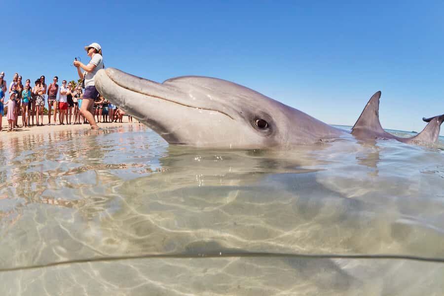 Perth: 7 Day Exmouth Explorer & Ningaloo Reef Return Perth - Accommodation: what’s included, and what to watch for