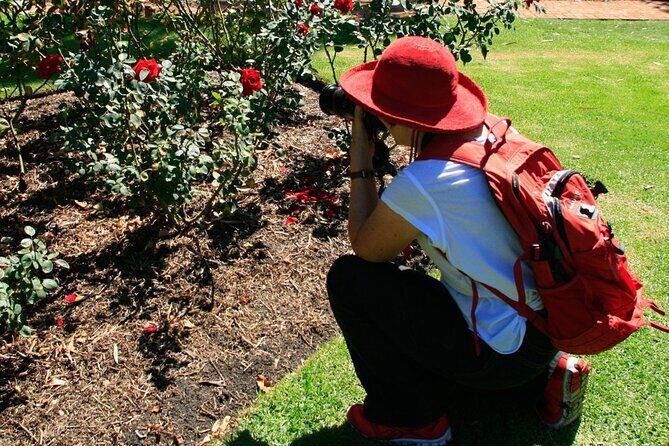 Perth City, Laneways and Hidden Gems Photographic Walk - Who should book this photography walk?