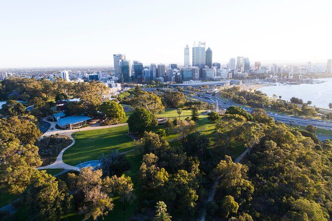 Perth, Kings Park, Swan River, Fremantle and Optional Cruise - Kings Park Treetop Walk: The Part Most People Will Remember