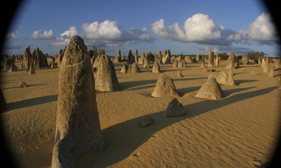 Perth: Pinnacles and Swan Valley Wine Day Tour with Lunch - Spring wildflowers and the West Australian Heartlands drive