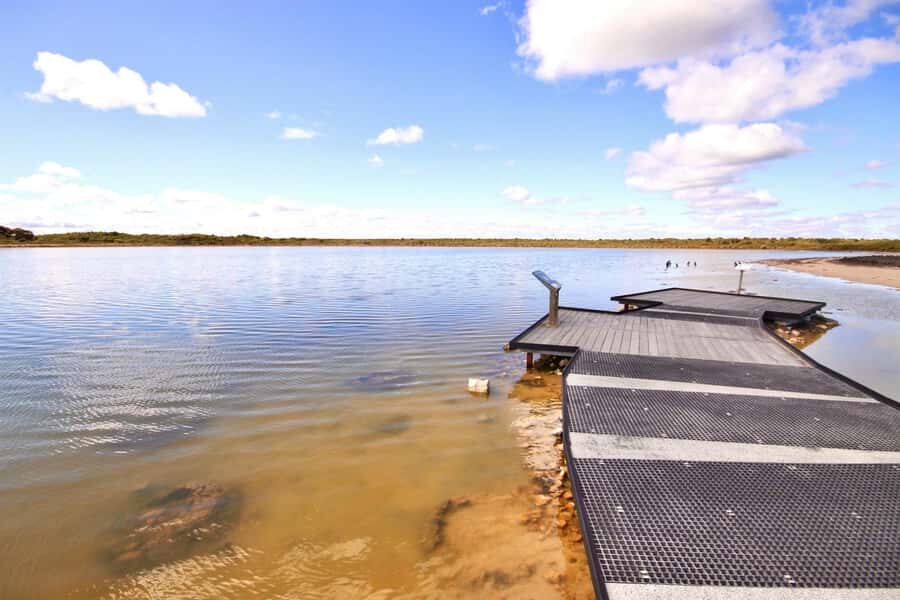 Perth: Pinnacles Desert Lobster Tour with Morning Tea - Price and value: what you’re paying for