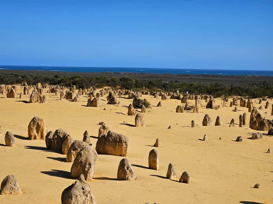 Perth: Pinnacles Desert & Sand Dunes Private Day Tour - Quick hits before you go