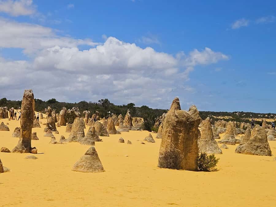 Perth: Pinnacles Desert & Sand Dunes Private Day Tour - Morning at Nambung National Park: Walking the Pinnacles Like You Mean It