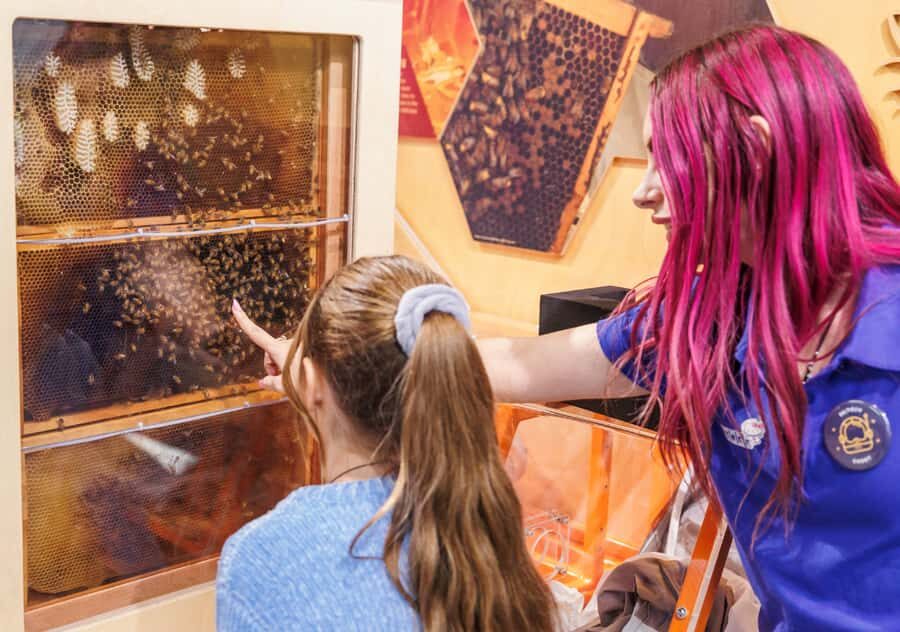Perth: Scitech Discovery Centre All Day Entry Ticket - Getting tickets, start times, and other nuts-and-bolts