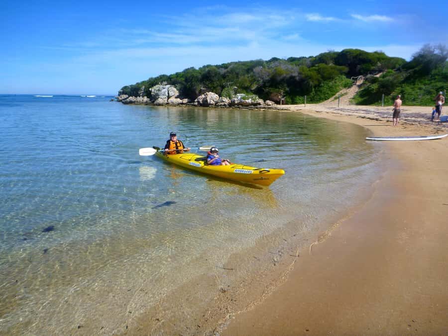 Perth: Shoalwater Islands Marine Park Sea Kayaking Tour - The paddle to Seal Island: short, sweet, and wildlife-forward