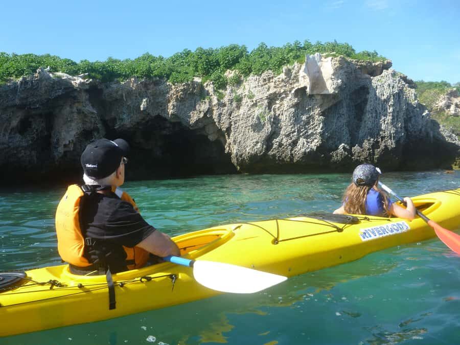 Perth: Shoalwater Islands Marine Park Sea Kayaking Tour - Wildlife watching that’s actually doable
