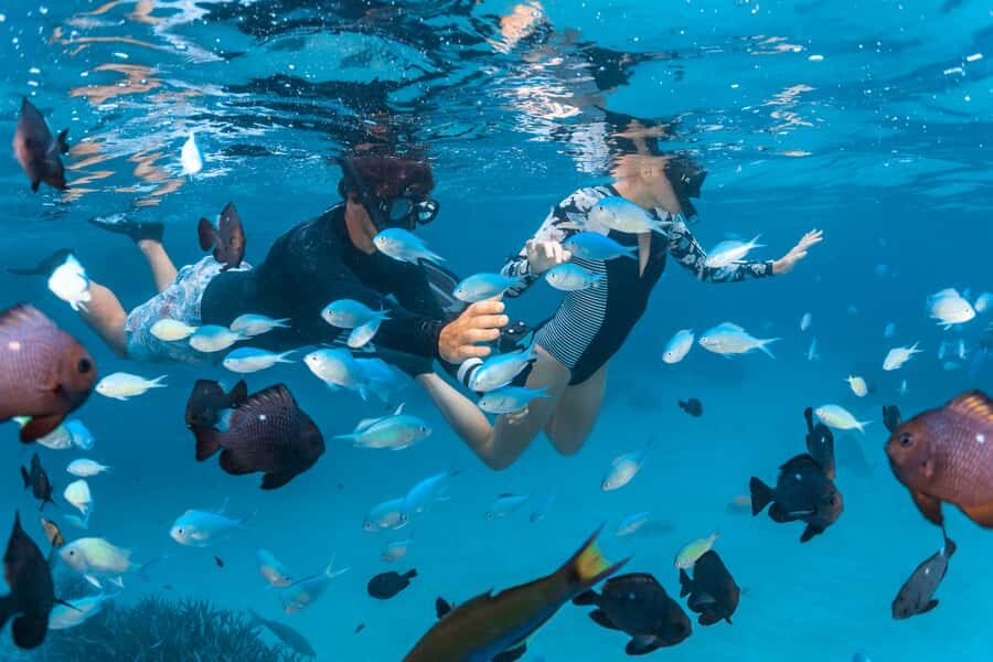 Perth to Exmouth: 6-Day Ningaloo Reef & Coral Coast Tour - The Perth to Exmouth route that actually makes sense