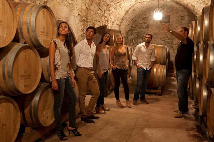Perth VIP Swan Valley Wine Tour - Premium Small Group Tour - Lunch at a premier estate: included drink and real dietary options