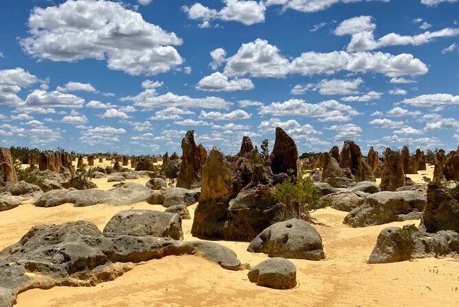 Pinnacles Day Tour - Key things I’d put at the top