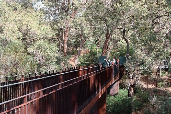 Pinnacles Desert, Koalas and Sandboarding 4WD Day Tour from Perth - Price and value: Is $179.31 a fair deal?
