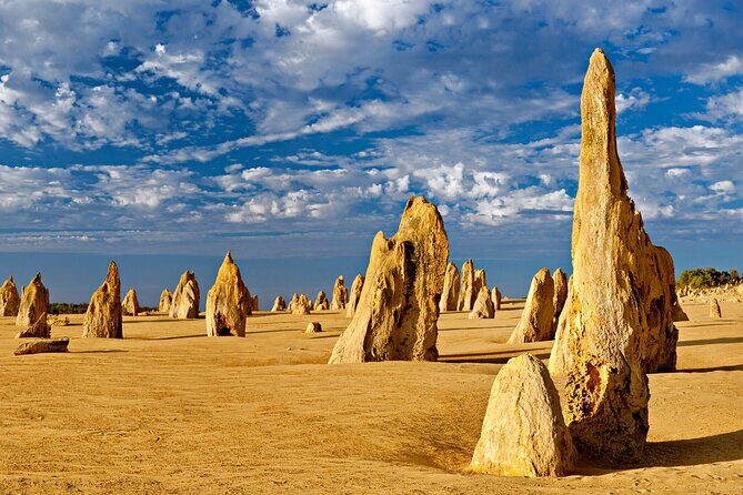 Pinnacles Desert Lobster Tour from Perth - Lake Thetis boardwalk: stromatolites and the oldest-living-fossil angle