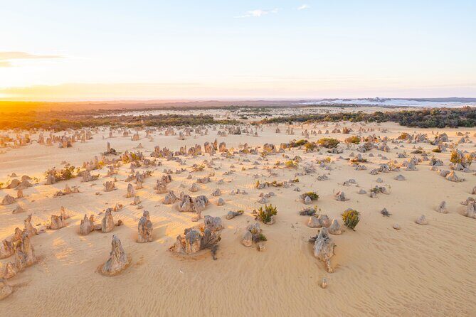 Pinnacles Desert Lobster Tour from Perth - Should you book this Pinnacles and Lobster Day Trip?