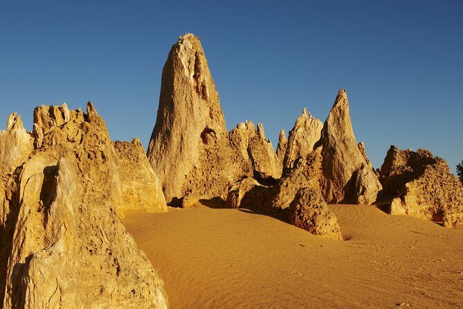Pinnacles Desert Private Tour - Cervantes lunch: seafood options, including lobster at Lobster Shack