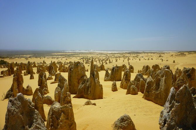 Pinnacles Desert Private Tour - Perth to the coast: your “warm-up” stretch north