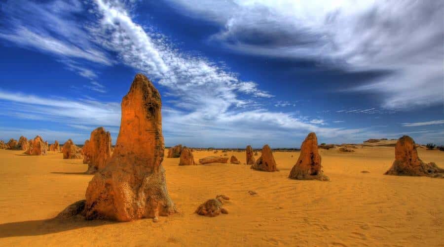 Pinnacles, Koalas, 4WD & Sandboarding Tour from Perth - Perth Pick-Up and the Swan Valley Wildlife Break at Caversham