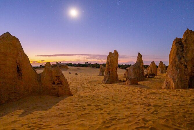 Pinnacles Sunset Stargazing Dinner Experience Small Group Tour - Nilgen Nature Reserve vs Hangover Bay: flowers or sea life, depending on season