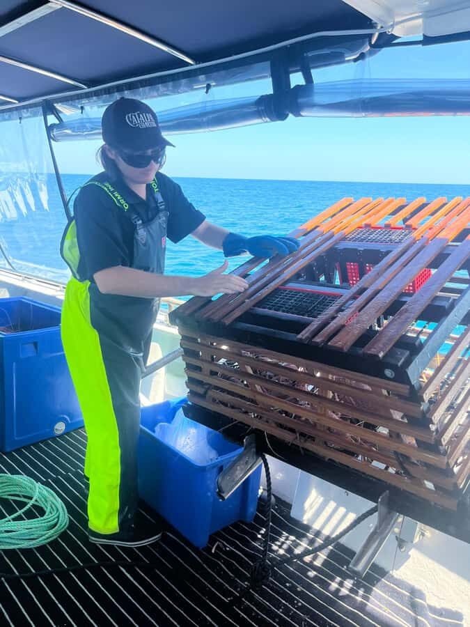 Rockingham: Lobster Catch and Keep Tour with Refreshments - The Scenic Boat Ride and Marine Life Viewing (What You Actually Learn Here)