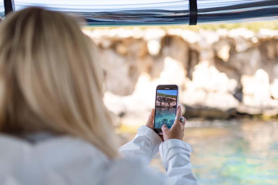 Rockingham: Shoalwater Islands, Dolphins, and Sea Lions Tour - Birds of Prey and Pelicans: Wildlife That Doesn’t Need Perfect Luck