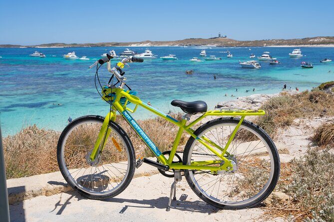 Rottnest Island Fast Ferry from Hillarys Boat Harbour Including Bike Hire - Key things to know before you go