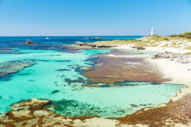Rottnest Island Fast Ferry from Hillarys Boat Harbour Including Bike Hire - Wadjemup Lighthouse: Worth It, But Don’t Underestimate the Climb
