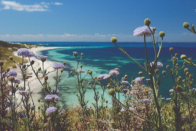 Rottnest Island Full-Day Trip With Guided Island Tour From Perth - Key things to know before you go