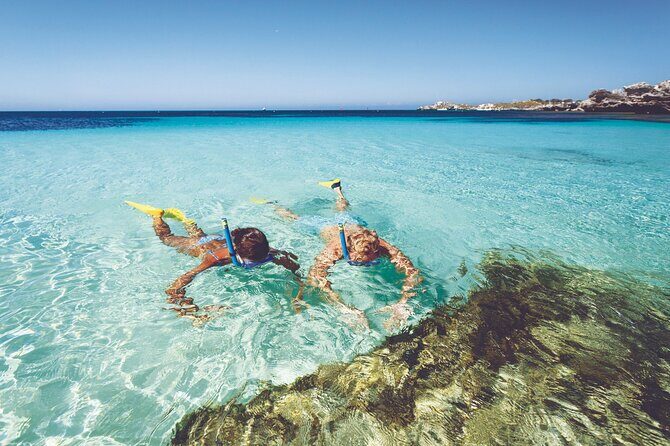 Rottnest Island Round-Trip Ferry from Perth - Key things to know before you go