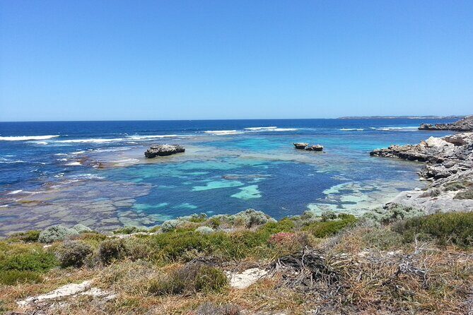 Rottnest Island Scenic Flight or 1/2 Day stopover - Who this is best for (and who should reconsider)