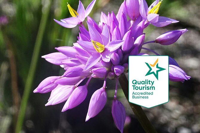 Spring Wildflower Private Day Tours - Key things to know before you go