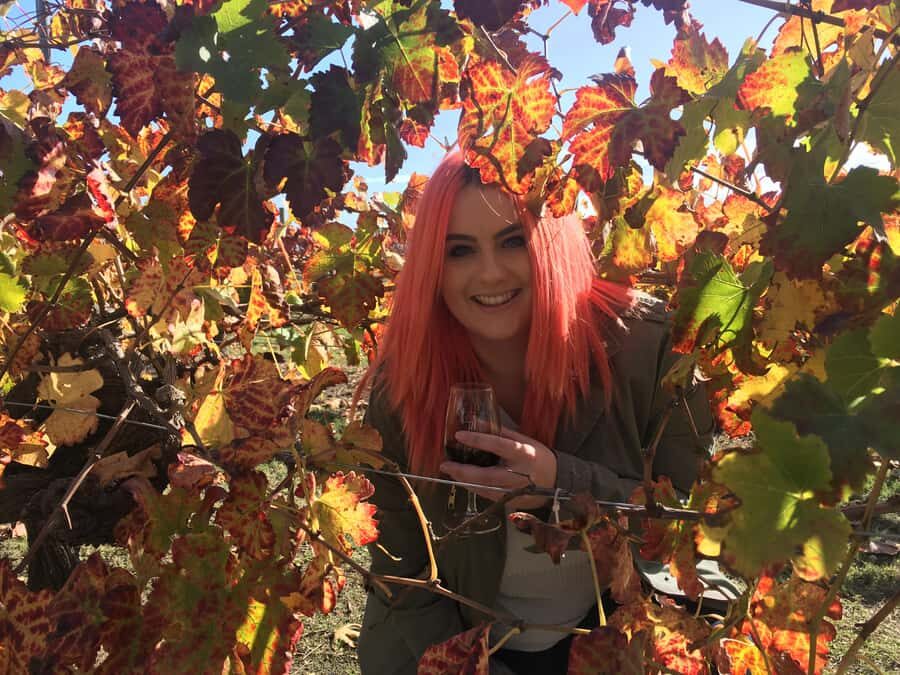 Swan Valley Full-Day Winery Experience with Lunch from Perth - Price check: is $112 good value for Swan Valley?