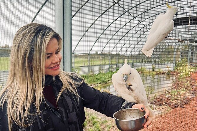 THE WHEATBELT & NEW NORCIA day tour of history, taste & nature. - Limestone Park Stud: gardens, coffee, and free-flight aviaries