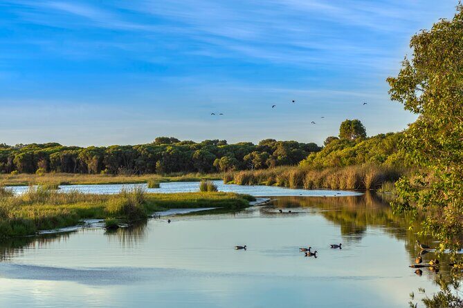 Western Australia’s Paradise: A Private Day Tour from Perth - Stop 2: Yanchep Lagoon Beach and that first hit of turquoise water